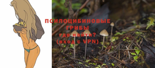 jwh Семилуки