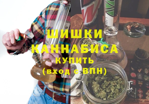 spice Бородино