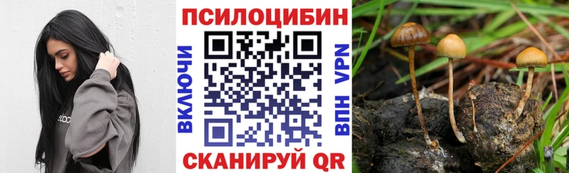 Галлюциногенные грибы Psilocybine cubensis  где можно купить наркотик  Кувандык 